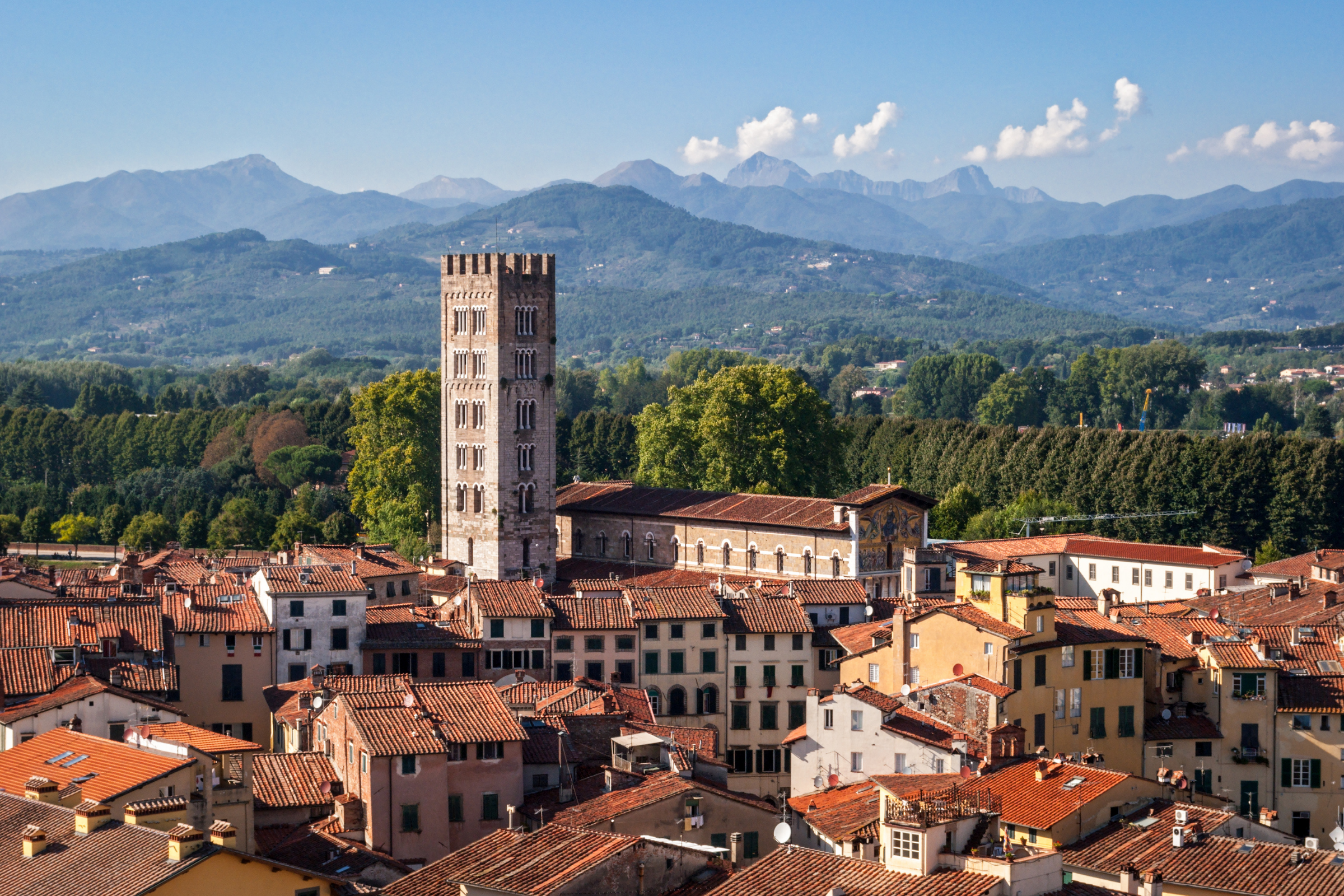 73 lucca.webp